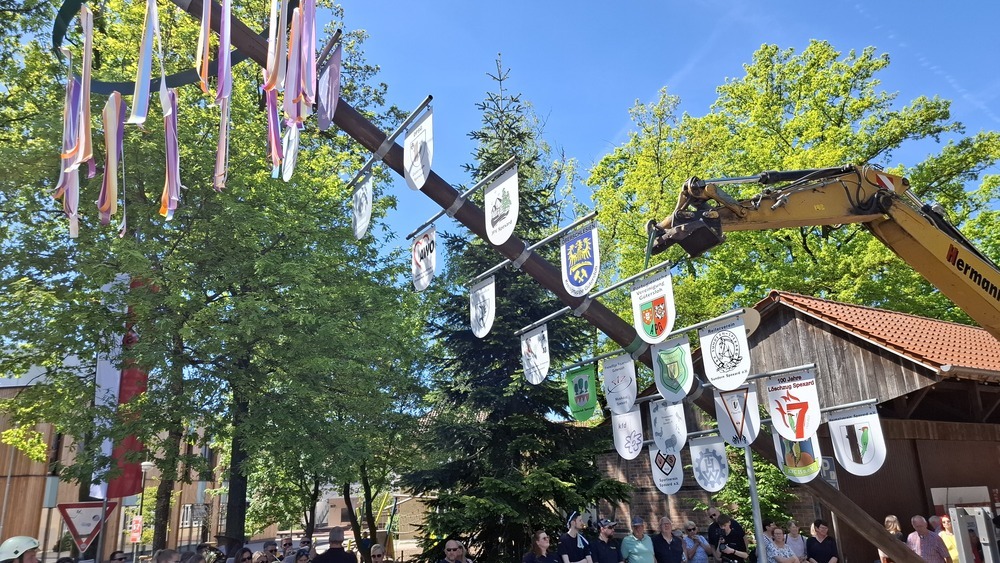 Maibaum mit neuen Wappen